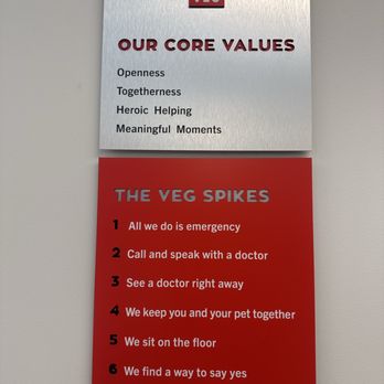 VEG ER for Pets - Amazing people work here! - Emergency Pet Hospital Near Me - Tampa, Florida VEG ER for Pets - Amazing people work here! - Emergency Pet Hospital Near Me - Tampa, Florida