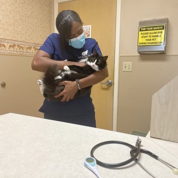 Stone Oak Veterinary Clinic - The staff here are so friendly, my cat loves them and so do I !! - Pet Groomers Near Me - San Antonio, Texas