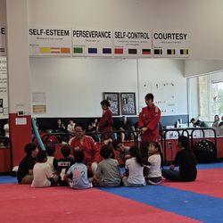 San Antonio Expert Taekwondo