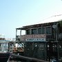 McGee's Landing Atchafalaya Swamp Tours
