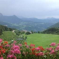 Buschenschank - The view