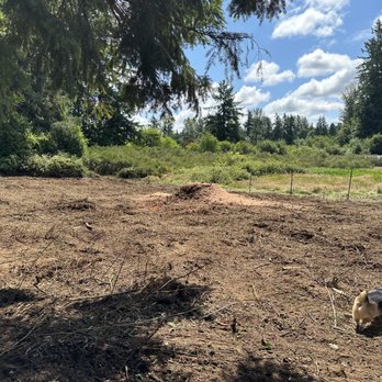 Excalibur Landservices - After - Excavation Services Near Me Excalibur Landservices - After - Excavation Services Near Me