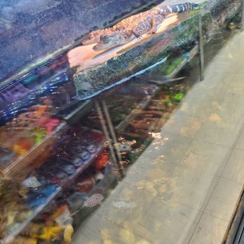 Florida Citrus Center - Souvenir Shops Near Me - St. Augustine, Florida