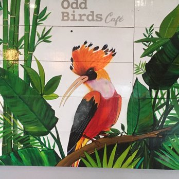 Odd Birds Cafe - Indoor Sign - Cafes Near Me - St. Augustine, Florida