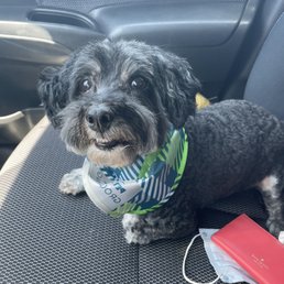 Kikko's haircut