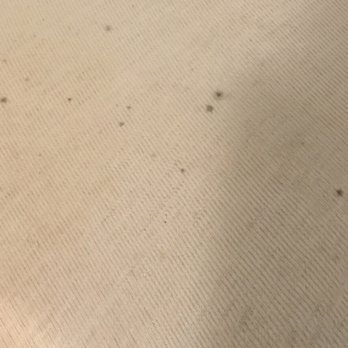Northpark Apartments - Mold that grew on the mattress due to moisture/mold issues under the bed - Apartments Near Me - Burlingame, California Northpark Apartments - Mold that grew on the mattress due to moisture/mold issues under the bed - Apartments Near Me - Burlingame, California