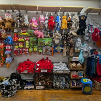 Bark Harbor - Pet Stores Near Me - Bar Harbor, Maine