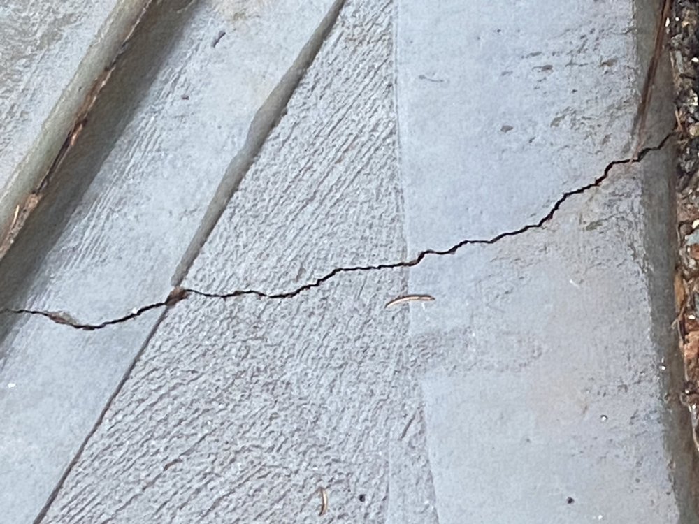 SCHUMACHER HOMES OF CHARLOTTE - Updated July 2025 - 29 Photos & 13