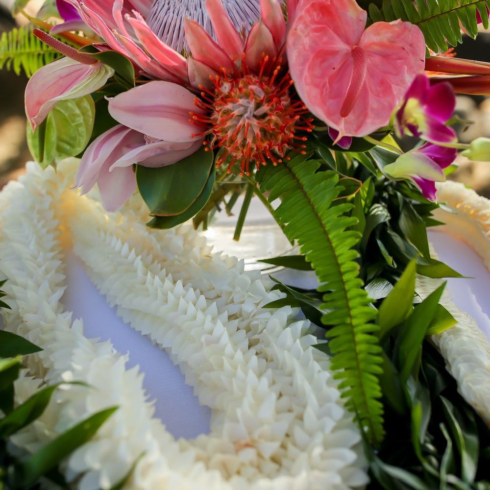Lisa Insalata Weddings - Wedding Planning Near Me Lisa Insalata Weddings - Wedding Planning Near Me