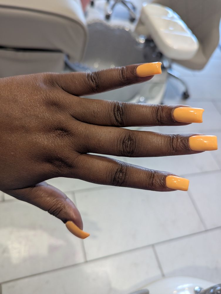 Sky Nails Logo