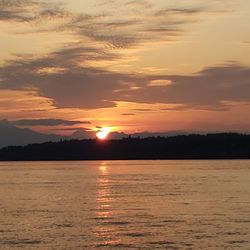 Salish Sea Healing Arts - Salish Sea Healing Arts
The waters that hold and nourish us!
