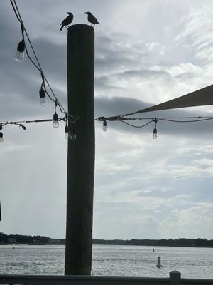 Dockside Bar & Grill by null