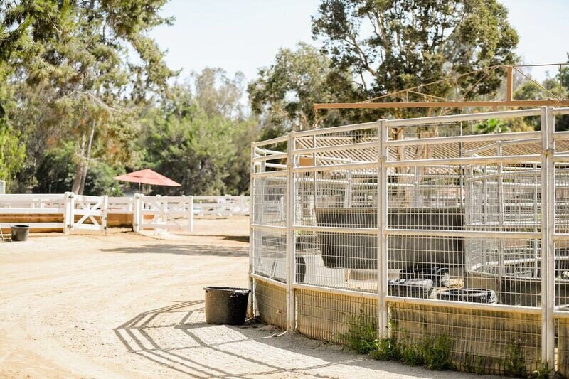 Fairbanks Riding Club - equestrian in San Diego, CA