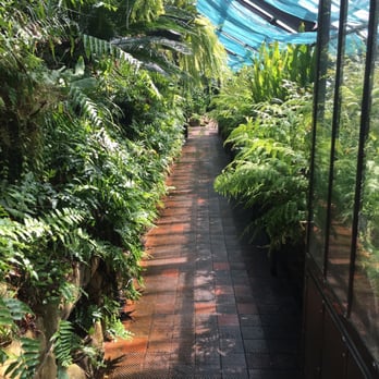Glasgow Botanic Gardens - Parks Near Me - Glasgow, GLG