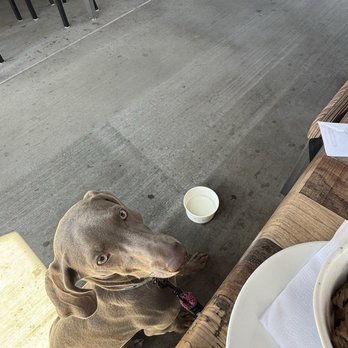 OHSO Brewery - Brewpubs Near Me - Surprise, Arizona OHSO Brewery - Brewpubs Near Me - Surprise, Arizona
