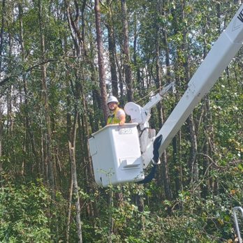 Outlaw Tree & Debris - Tree Services Near Me - Corinth, Mississippi