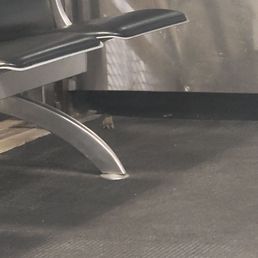 A mouse at Obryckis at BWI A mouse at Obryckis at BWI