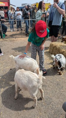 Schram Haus Brewery by null