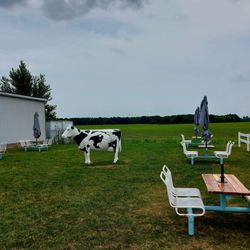 Walker Dairy Bar - Picnic tables (and a cow)