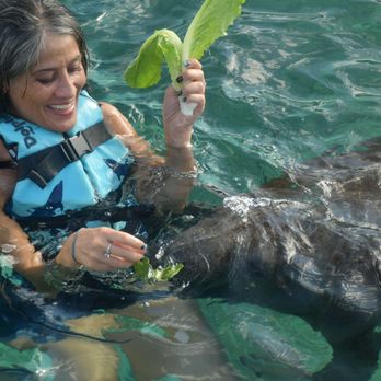 Chankanaab - Water Parks Near Me - Cozumel, ROO