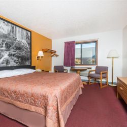 Super 8 by Wyndham Front Royal - 1 Queen Bed Room