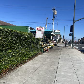 Brothers Papadopoulos - Florists Near Me - San Francisco, California