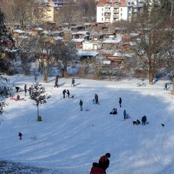Luitpoldpark - 1. Schwabinger Rodeltreff 2017