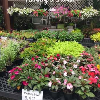 Laura Kay's Nursery & Florist - Nurseries & Gardening Near Me - Mobile, Alabama Laura Kay's Nursery & Florist - Nurseries & Gardening Near Me - Mobile, Alabama