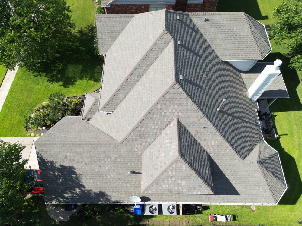 Slide of Roof Bullies