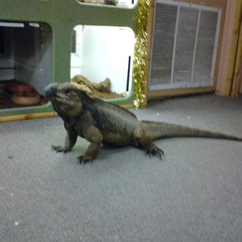 Jurassic Parties - Party & Event Planning Near Me - Fountain Valley, California Jurassic Parties - Party & Event Planning Near Me - Fountain Valley, California