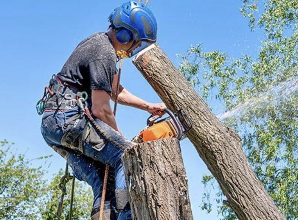 Badger Tree Service - tree service in Atlanta, GA