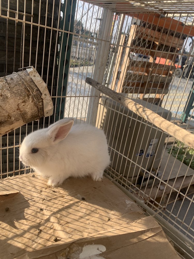 TORRES FEED & PET SUPPLY Updated August 2024 43 Photos 2656 S