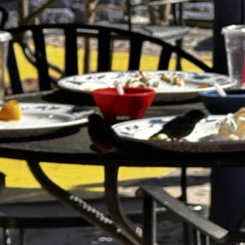 El Noa Noa - Birds, even the leftovers‍ - Mexican Near Me - Wapato, Washington