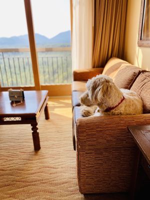 Suncadia Resort, a Destination by Hyatt Hotel by null