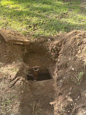 Mansfield Sanitation Services