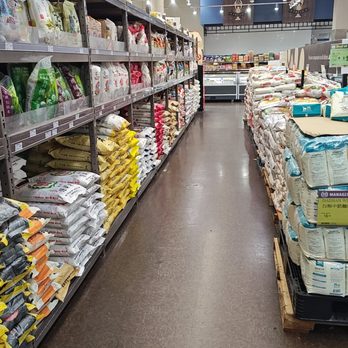 99 Ranch Market - Rice as far as you can see - International Grocery Near Me - Austin, Texas