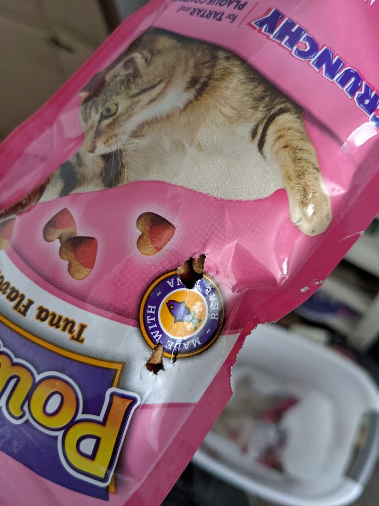 DOLLAR TREE Updated September 2024 21 Photos & 36 Reviews 2053