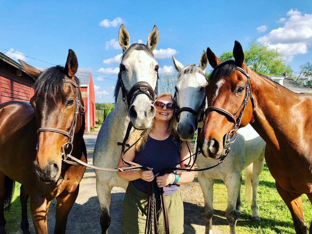 Foxhall Farm Training & Sales - equestrian in Bloomfield, NY