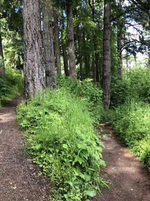 Champoeg State Park by null