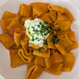 Rigatoni with morita tomato sauce with ricotta