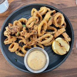 Calamari Calamari