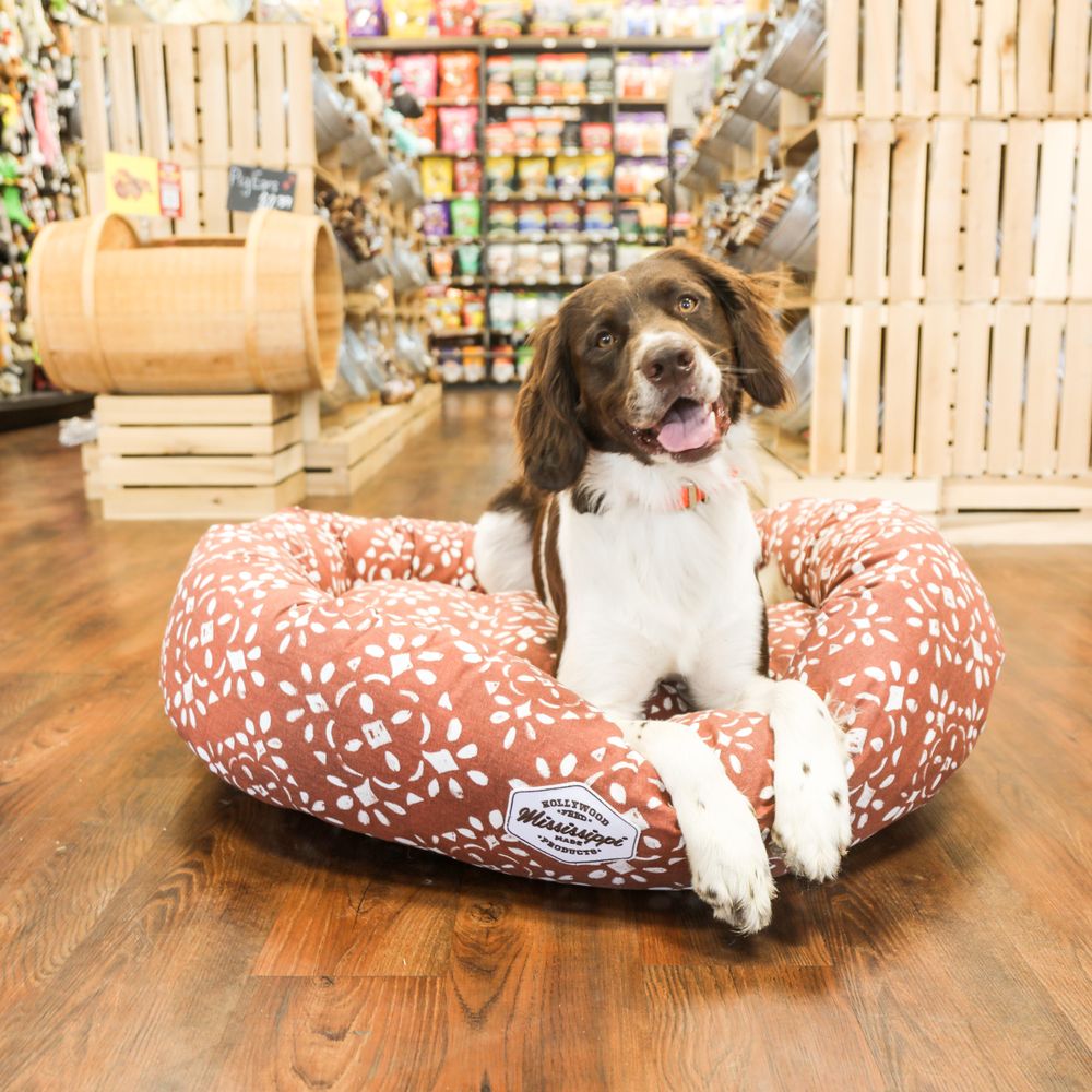 Self-wash places for dogs in Naples?, image size:1000x1000