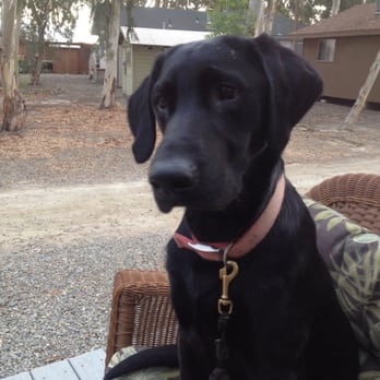 Hollister Gun Club - Chillaxin - Gun/Rifle Ranges Near Me - Gustine, California