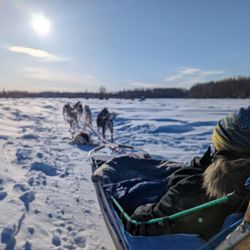 Paws For Adventure - Early tour, into the rising sun. Taking a break.