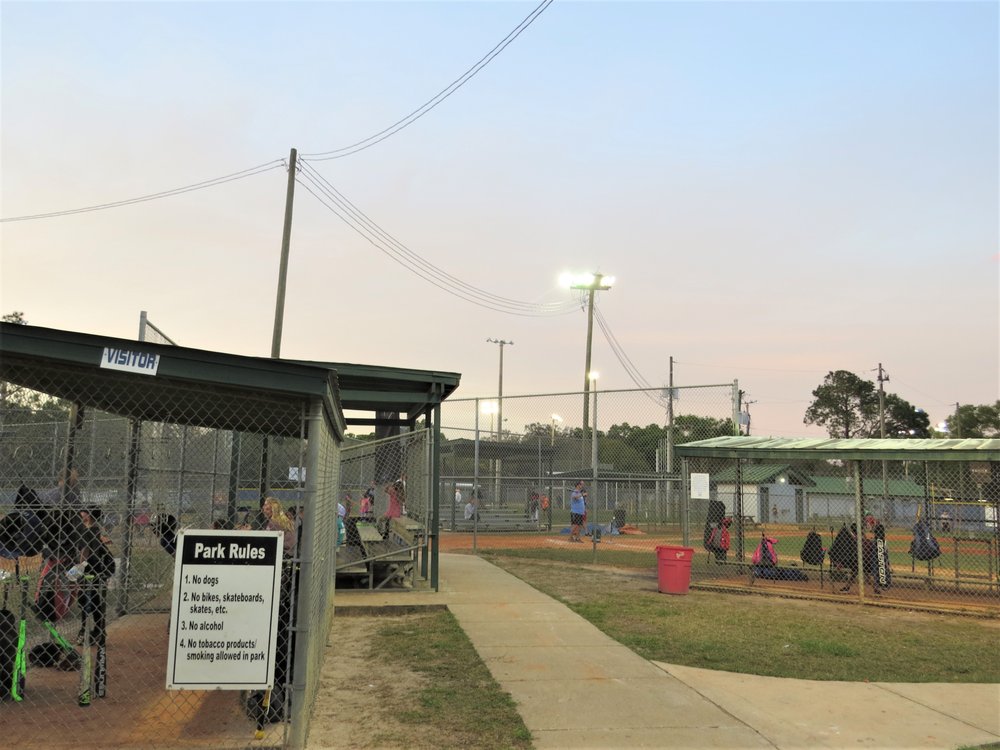 LUTZ NATURE PARK AND PLAYGROUND 15 Photos Parks 766 W Lutz Lake