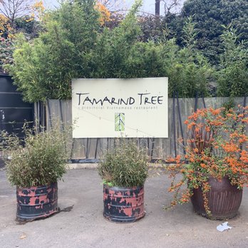 Tamarind Tree Restaurant - Vietnamese Near Me - Seattle, Washington Tamarind Tree Restaurant - Vietnamese Near Me - Seattle, Washington