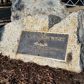 Photo of The George Harrison Tree - Los Angeles, CA, United States