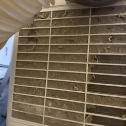 There were two filters, equally as clogged.