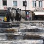 Photo of Rindermarktbrunnen