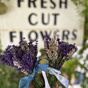 Blue Mountain Lavender Farm - We picked two bouquets for our moms - Farms Near Me - Lowden, Washington